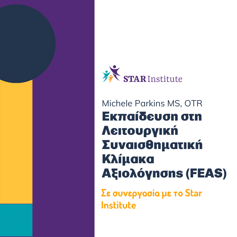 Εκπαίδευση στη Λειτουργική Συναισθηματική Κλίμακα Αξιολόγησης (FEAS)