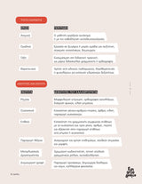 Fun Ορθογραφία | Εκπαιδευτικό & διαδραστικό εργαλείο καταληκτικής ορθογραφίας